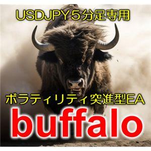 buffalo【リアル口座運用中EA】